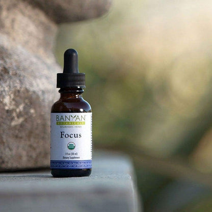 Organic Focus Liquid Extract, USDA Certified Organic, Ayurvedic Herbal Nootropic Formula Designed to Provide Mental Support When You Need to Be Focused, Aware, and Alert.